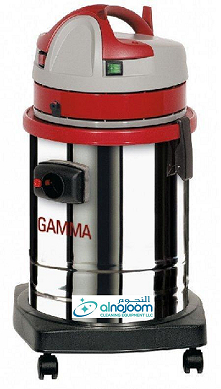 Gamma-300